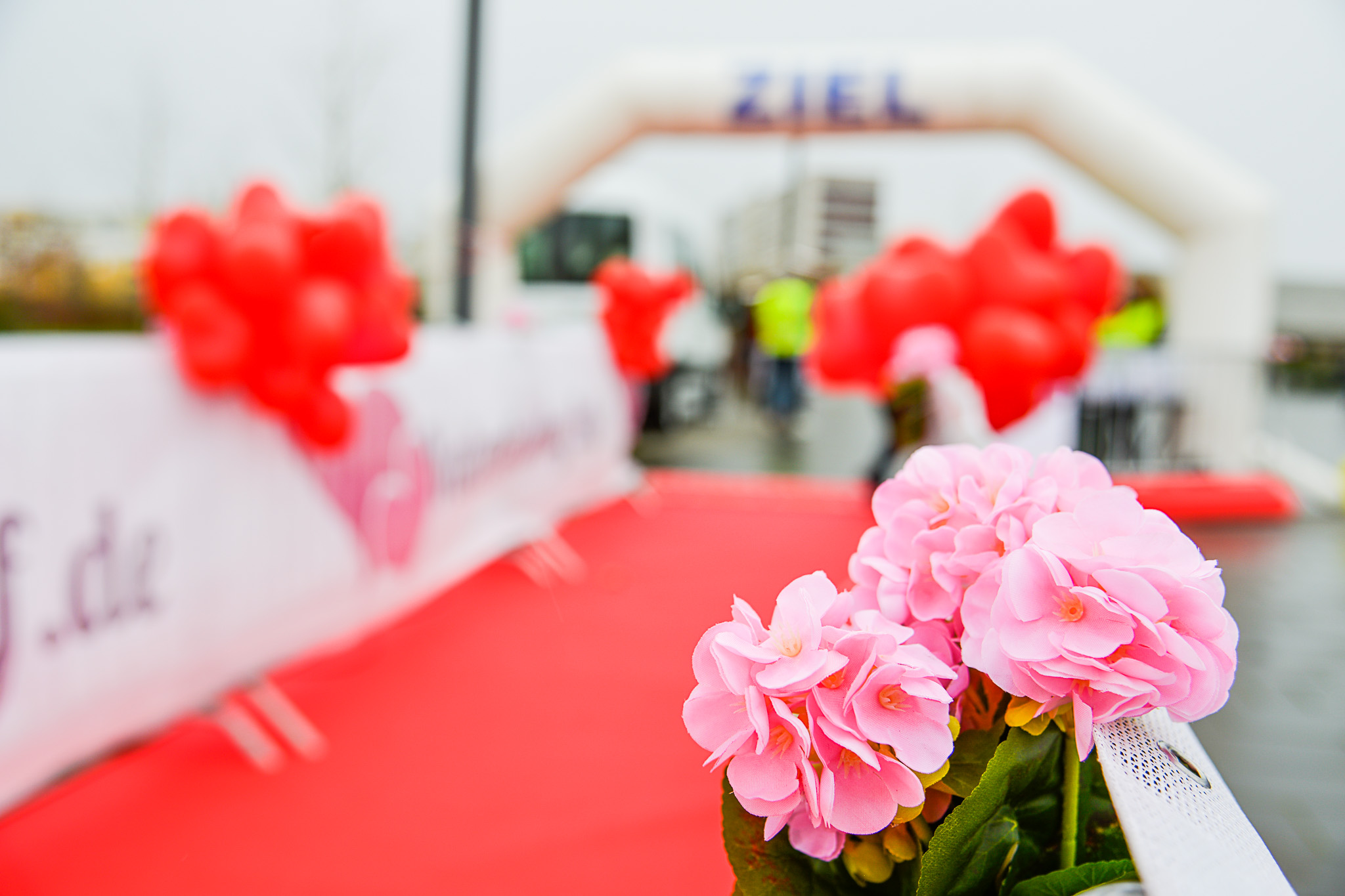 Valentinslauf.de Ausschreibung
